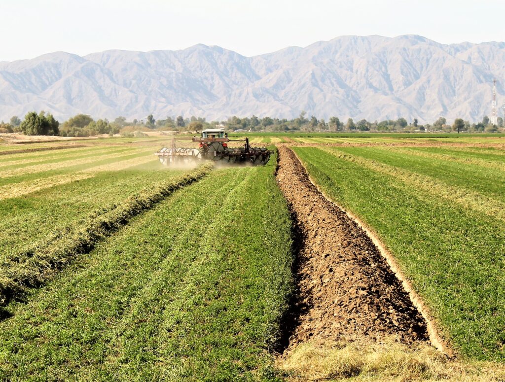 Tractor cortando algún forraje en Valle de Mexicali Agricultura en el Valle de Mexicali